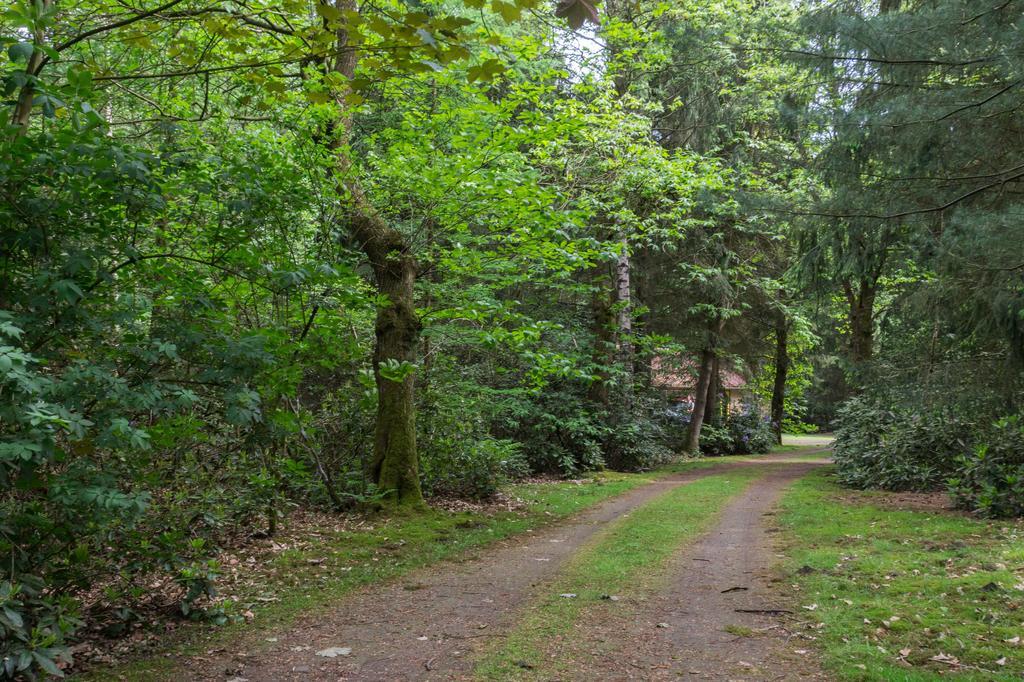 Bungalowpark Vogelenzang Villa Lage Mierde Luaran gambar