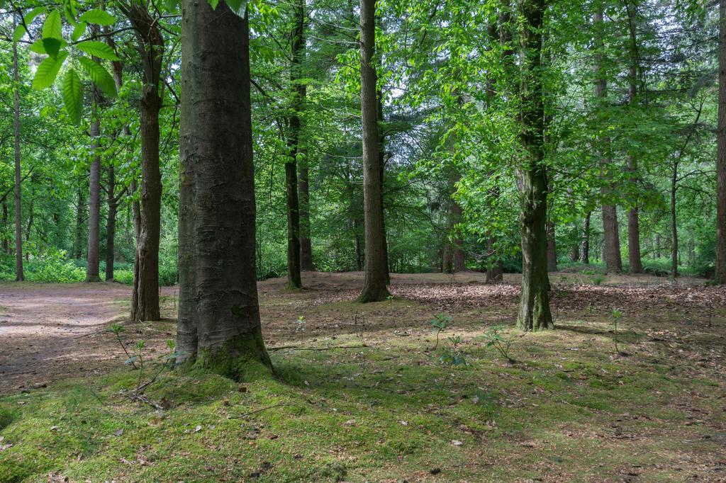 Bungalowpark Vogelenzang Villa Lage Mierde Luaran gambar
