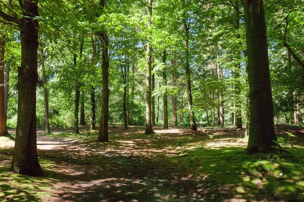 Bungalowpark Vogelenzang Villa Lage Mierde Luaran gambar