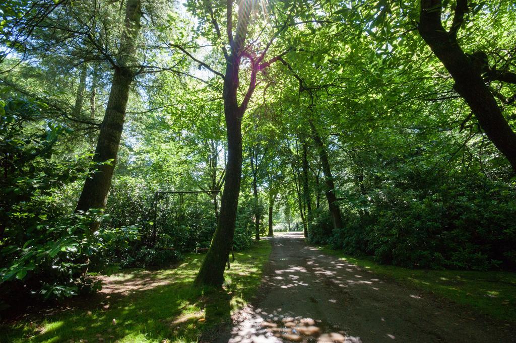 Bungalowpark Vogelenzang Villa Lage Mierde Luaran gambar