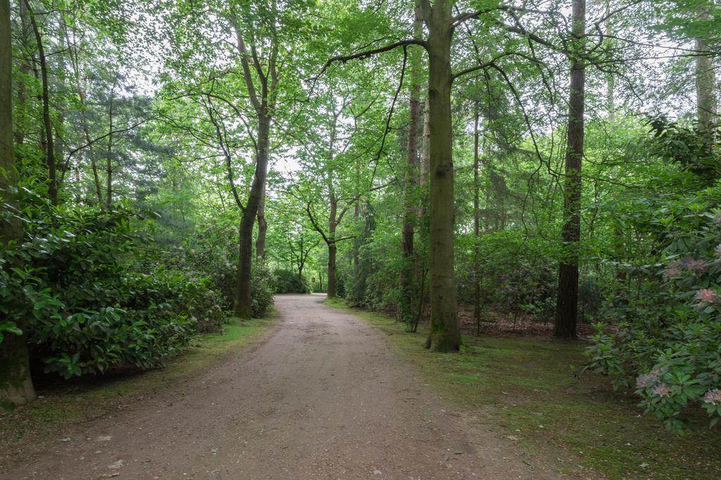 Bungalowpark Vogelenzang Villa Lage Mierde Luaran gambar